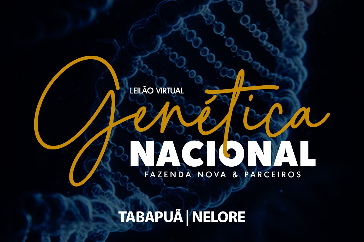 Genética de ponta deve marcar a segunda edição do Leilão Genética Nacional